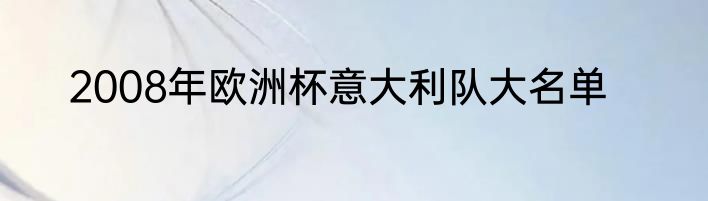 2008年欧洲杯意大利队大名单