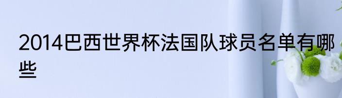 2014巴西世界杯法国队球员名单有哪些
