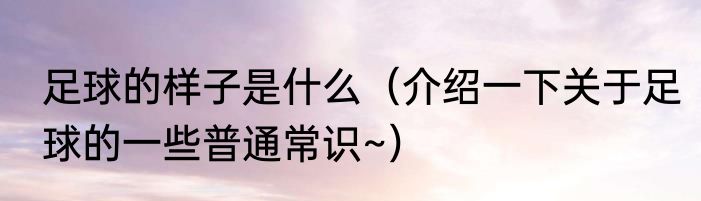 足球的样子是什么（介绍一下关于足球的一些普通常识~）