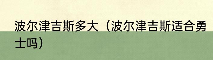 波尔津吉斯多大（波尔津吉斯适合勇士吗）