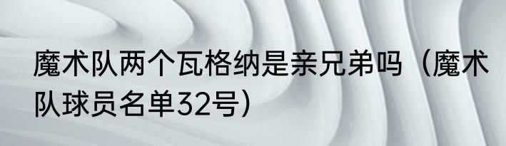 魔术队两个瓦格纳是亲兄弟吗（魔术队球员名单32号）