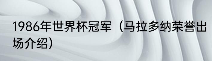 1986年世界杯冠军（马拉多纳荣誉出场介绍）