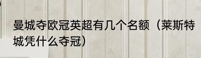 曼城夺欧冠英超有几个名额（莱斯特城凭什么夺冠）