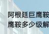 阿根廷巨鹰鞍多少级解锁（阿根廷巨鹰鞍多少级解锁）