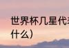 世界杯几星代表什么（四星球队都有什么）