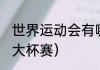 世界运动会有哪些种类,区别（世界五大杯赛）