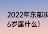 2022年东部决赛是哪两个队（今年76岁属什么）