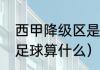 西甲降级区是什么意思（西乙在世界足球算什么）