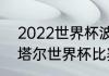 2022世界杯波兰得分纪录（2022卡塔尔世界杯比赛结果）
