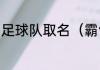 足球队取名（霸气一点的足球队队名）