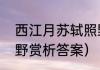 西江月苏轼照野赏析（西江月苏轼照野赏析答案）