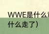 WWE是什么意思（wwe终极战士为什么走了）