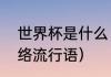 世界杯是什么（世界杯是什么意思网络流行语）