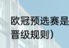 欧冠预选赛是什么比赛（欧冠附加赛晋级规则）
