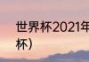 世界杯2021年（2021是第几年世界杯）