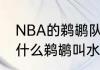 NBA的鹈鹕队本来的名字是什么（为什么鹈鹕叫水鸟队）