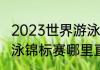 2023世界游泳锦标赛举办地（世界游泳锦标赛哪里直播）