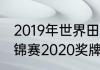 2019年世界田径锦标赛地点（田径世锦赛2020奖牌榜）