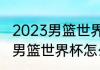 2023男篮世界杯多少名晋级奥运会（男篮世界杯怎么才有资格参赛）