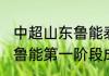 中超山东鲁能泰山队排名（2021中超鲁能第一阶段成绩）