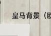皇马背景（欧超联赛历届冠军）
