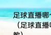 足球直播哪个平台比较受欢迎啊求教（足球直播哪个平台比较受欢迎啊求教）