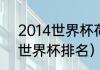 2014世界杯荷兰队战绩（荷兰2014世界杯排名）