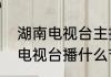 湖南电视台主持人有多少（明晚湖南电视台播什么节目）