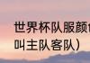 世界杯队服颜色怎么看（世界杯什么叫主队客队）