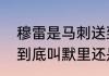 穆雷是马刺送到掘金的吗（掘金控卫到底叫默里还是穆雷）