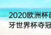 2020欧洲杯西班牙成绩（2010西班牙世界杯夺冠过程）