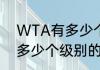 WTA有多少个级别的比赛（WTA有多少个级别的比赛）