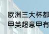 欧洲三大杯都是哪三个杯赛（欧冠西甲英超意甲有什么区别）