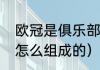欧冠是俱乐部还是国家队参加（欧冠怎么组成的）
