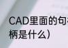 CAD里面的句柄是什么意思（函数句柄是什么）