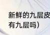 新鲜的九层皮如何保存（九层皮真的有九层吗）