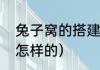 兔子窝的搭建方法（野生兔子的窝是怎样的）