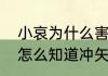 小哀为什么害怕冲矢昴（羽田秀吉是怎么知道冲矢昴是赤井秀一）