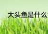 大头鱼是什么鱼（刷大头鱼方法）