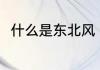 什么是东北风（东北风以前叫什么）