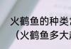 火鹤鱼的种类常见的一些火鹤鱼品种（火鹤鱼多大起头）