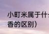 小町米属于什么米种（小町米和稻花香的区别）