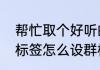 帮忙取个好听的群名称和群标签（群标签怎么设群标签怎么设置）