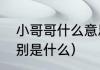 小哥哥什么意思（哥哥和小哥哥的区别是什么）