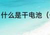 什么是干电池（干电池式是什么意思）