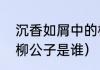 沉香如屑中的柳公子是谁（沉香如屑柳公子是谁）