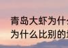 青岛大虾为什么都是冻虾（青岛的虾为什么比别的地方便宜）