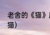 老舍的《猫》原文（老舍的猫是什么猫）