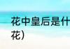 花中皇后是什么（花中皇后是指什么花）