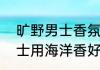 旷野男士香氛和香精有什么区别（男士用海洋香好还是古龙香好）